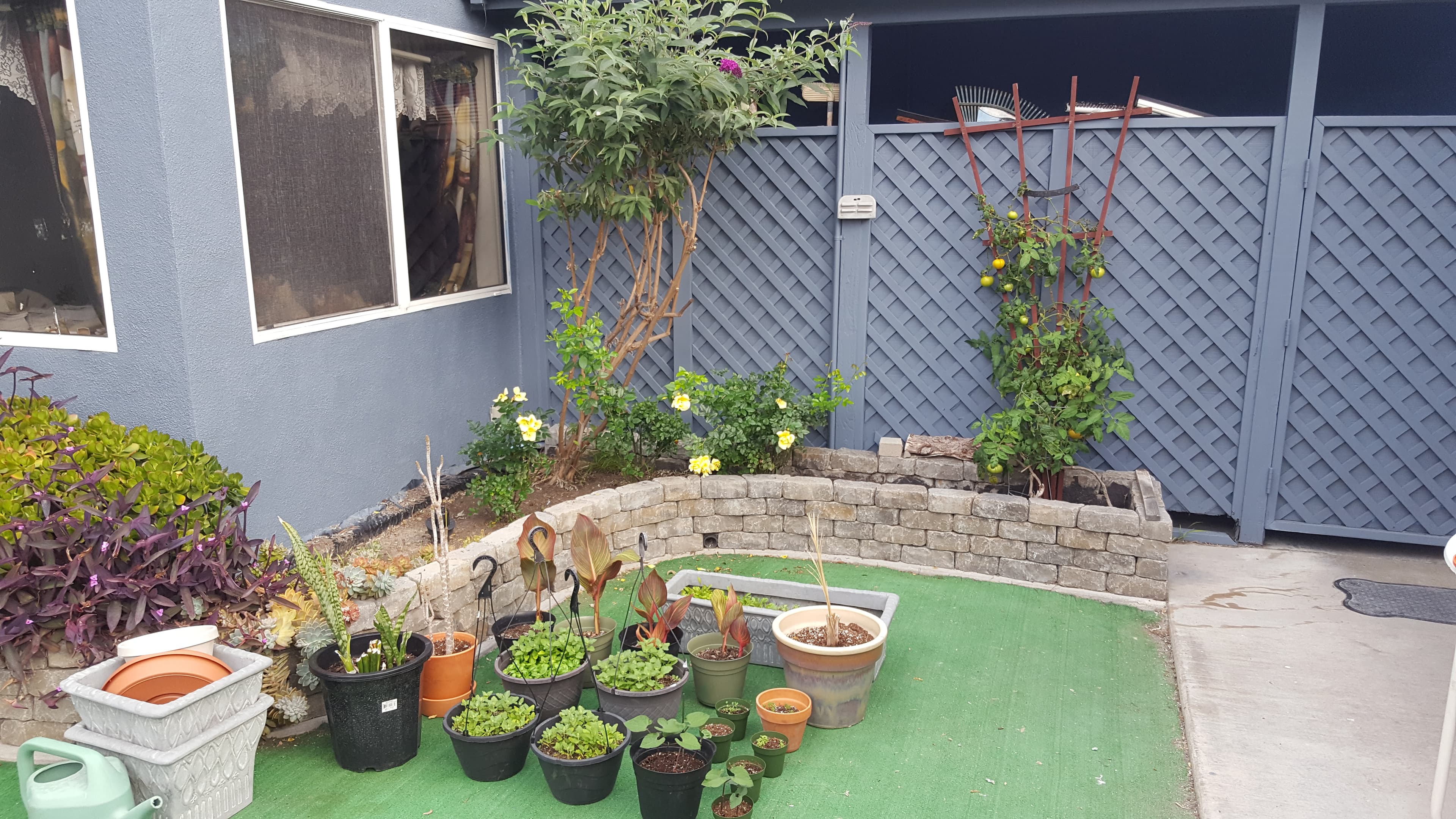 Plants and greenery come in